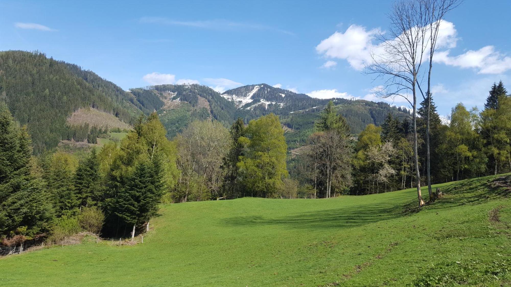 Kloiberhof Villa Oblarn Bagian luar foto