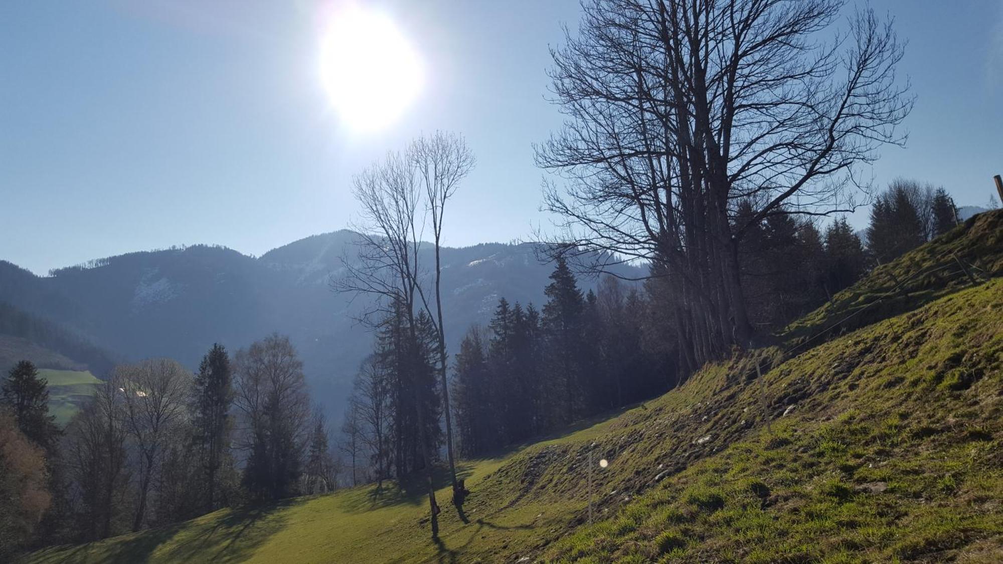 Kloiberhof Villa Oblarn Bagian luar foto